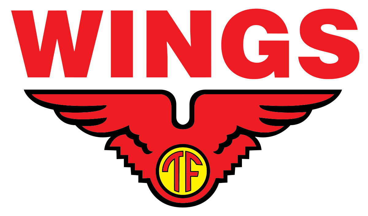 PT Wings Group